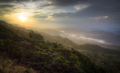 Sri Lanka, bei Hatton, Sonnenaufgang - STCF00519