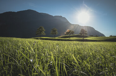 Austria, Bad Ischl, Katrinberg and meadow against the sun - STCF00571