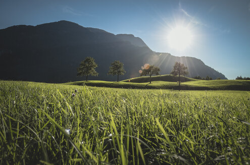 Österreich, Bad Ischl, Katrinberg und Wiese im Sonnenschein - STCF00571