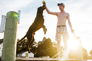 Shirtless Junger Mann spielt mit Hund auf Pier im Sommer - CAVF27234