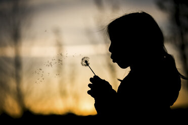 Silhouette eines Mädchens, das während des Sonnenuntergangs auf einem Feld steht und Löwenzahn bläst - CAVF27250