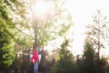 Rückansicht eines Mädchens, das auf einen Baum im Park klettert - CAVF27260