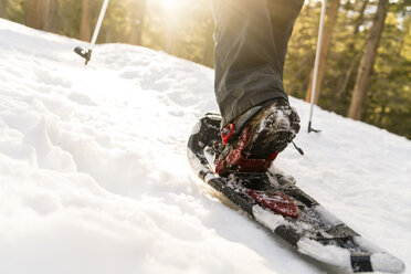 Niedriger Ausschnitt einer Frau mit Skiern auf einem verschneiten Feld - CAVF27272