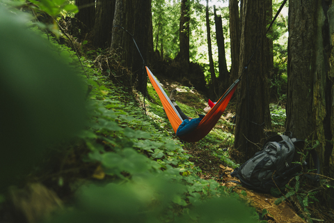 Frau entspannt auf Hängematte im Wald, lizenzfreies Stockfoto