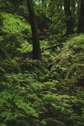 Distant view of woman with arms outstretched standing on log in forest - CAVF27280