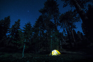 Illuminated tent on field in forest at night - CAVF27291