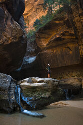 Wanderer steht auf einer Felsformation im Zion National Park - CAVF27294