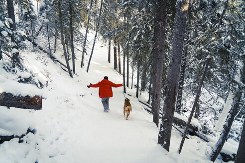 Rückansicht eines Mannes mit Golden Retriever auf einem schneebedeckten Feld im Wald - CAVF27314