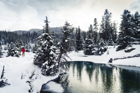 Rückansicht eines Mannes mit Golden Retriever, der auf einem schneebedeckten Feld an einem See im Wald spazieren geht, lizenzfreies Stockfoto