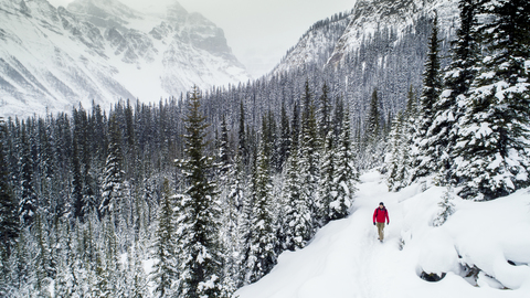 High angle view of hiker walking on snow covered field at forest stock photo