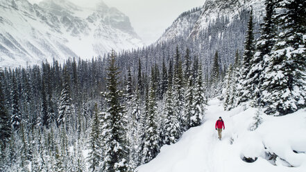 High angle view of hiker walking on snow covered field at forest - CAVF27322