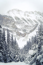 Scenic view of snowcapped mountain in forest against sky - CAVF27323