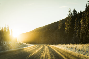 Landschaftliche Ansicht der Straße inmitten von Bäumen im Wald im Winter bei Sonnenaufgang - CAVF27345