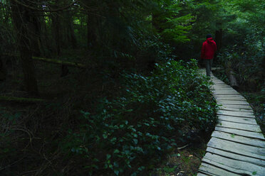 Rückansicht eines Wanderers, der auf dem Holzsteg im Wald spazieren geht - CAVF27346