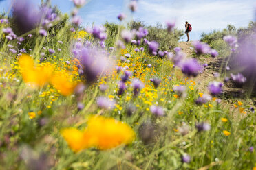 Entfernte Ansicht einer Frau auf einem Feld mit Blumen im Vordergrund - CAVF27365