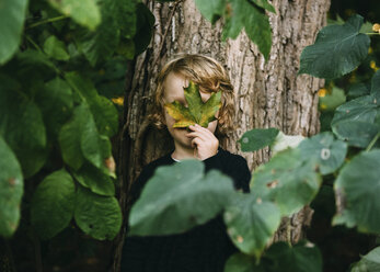 Junge versteckt sein Gesicht mit einem Blatt, während er an einem Baum steht - CAVF27538