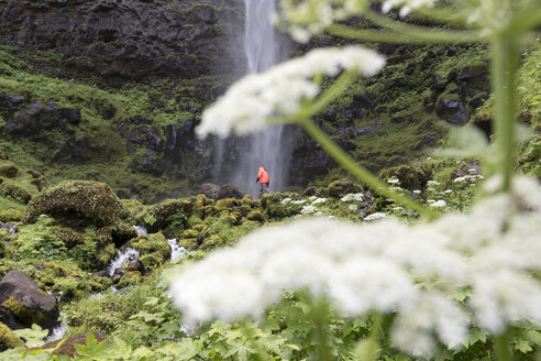 Niedriger Blickwinkel auf einen Mann, der im Wald bei den Watson Falls spazieren geht - CAVF27662