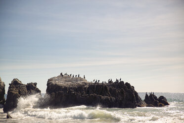 Vögel, die auf einer Felsformation im Meer gegen den Himmel hocken - CAVF27815