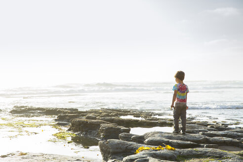 Rear view of boy standing on rocks at beach against sky - CAVF27974