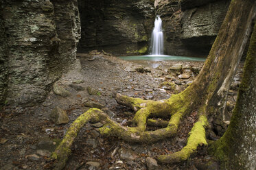 Water flowing through rocks in forest - CAVF28065