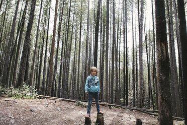 Porträt eines Mädchens, das auf einem Baumstumpf im Wald steht - CAVF28343
