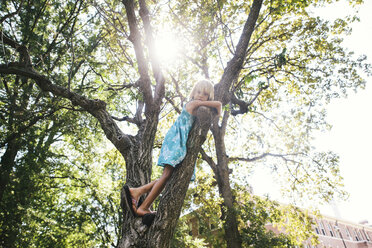 Niedriger Winkel Porträt von Mädchen auf Baum stehend - CAVF28366