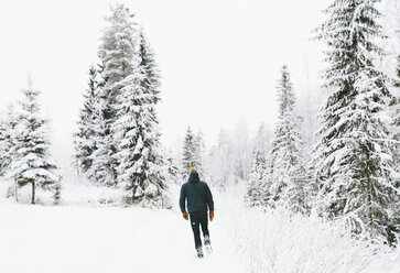 Rear view of man walking through snow - FOLF00110