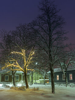 Beleuchtete Straße mit Häusern bei Nacht - FOLF00145