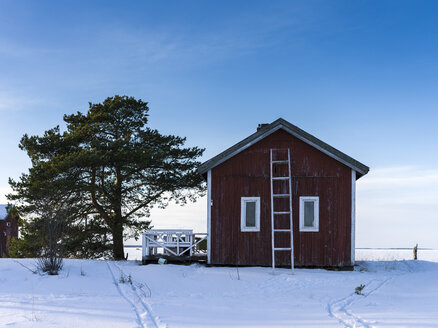 Im Winter an das Haus gelehnte Leiter - FOLF00149