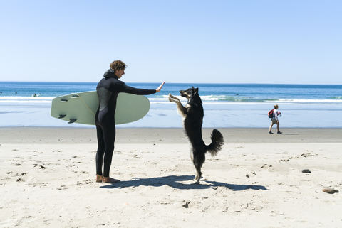 Mann gibt seinem Hund am Strand bei klarem Himmel ein High Five, lizenzfreies Stockfoto