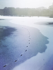 Germany, Cologne, traces in snow on frozen lake - GWF05470
