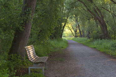 Germany, Ludwigshafen, Aachried, wooden bench and empty way - SHF02012