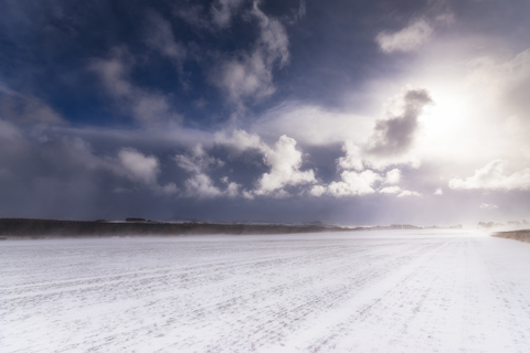 Vereinigtes Königreich, Schottland, East Lothian, North Berwick, Wintersturm, Feld gegen die Sonne, lizenzfreies Stockfoto