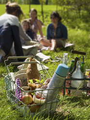 Wire basket with food and thermos, women sitting on grass in background - FOLF00341