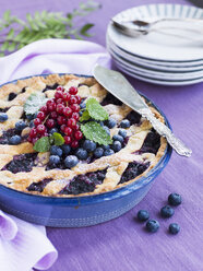 Heidelbeerkuchen mit roten Johannisbeeren dekoriert - FOLF00402