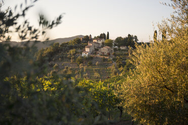 Abgelegene Häuser mit Weinberg im Vordergrund bei Sonnenuntergang - FOLF00602