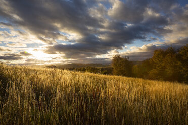 Field under cloudy sky at sunset - FOLF00612