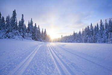 Tannenbäume und Landstraße im Winter bei Sonnenaufgang - FOLF00713