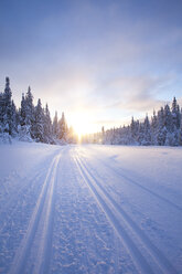 Tannenbäume und Landstraße im Winter bei Sonnenaufgang - FOLF00714