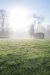 Sonnenaufgang im Herbst - FOLF00724