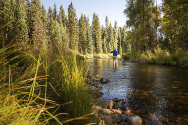 Man fishing in stream by trees - CAVF28555