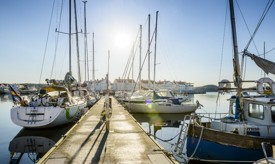 Blick auf im Hafen verankerte Yachten - FOLF00979