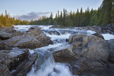 Tannforsen-Wasserfall - FOLF01009