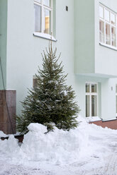 Weihnachtsbaum im Schnee vor einem Wohnhaus - FOLF01024