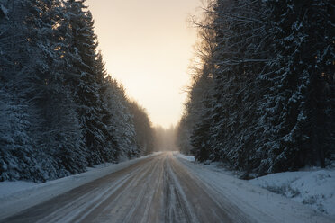 Straße im Winterwald - FOLF01124