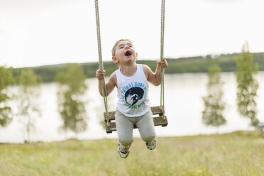 Boy playing on swing - FOLF01136