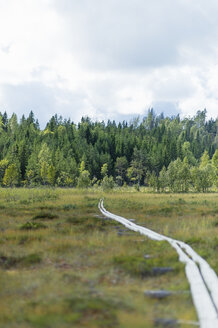 Pipeline im Feld - FOLF01165