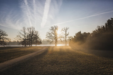 Deutschland, Brandenburg, Potsdam, Park mit Bäumen im Morgenlicht - ASCF00840