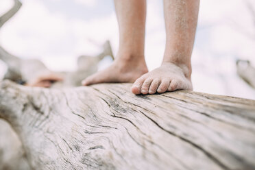 Low section of girl standing on log at beach - CAVF28707