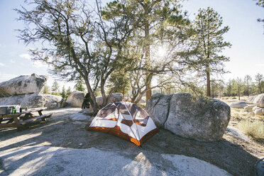 Tent by rocks and trees on hill during sunny day - CAVF28741